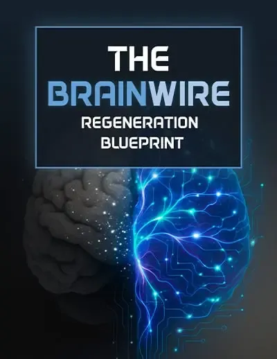 Bonus 2 : The-Brainwire-Regeneration-Blueprint